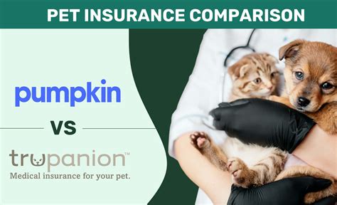 trupanion pet insurance deductible